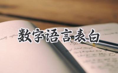数字语言表白