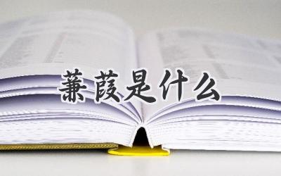 蒹葭是什么