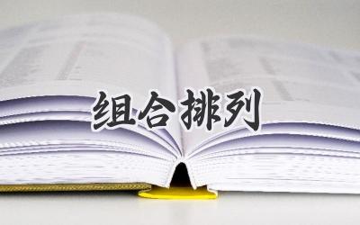 组合排列