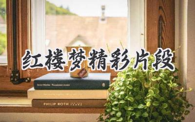 红楼梦精彩片段