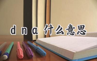 dna什么意思
