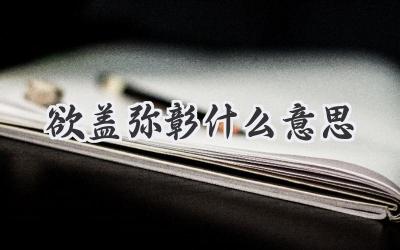 欲盖弥彰什么意思