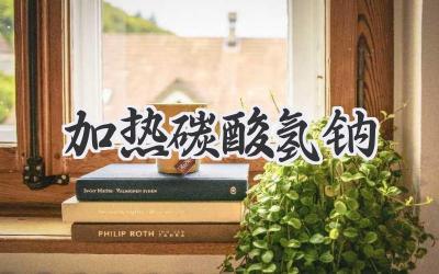 加热碳酸氢钠