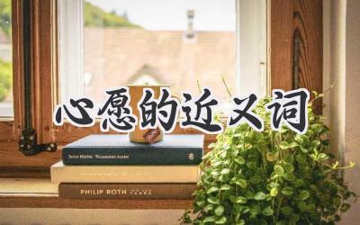 心愿的近义词
