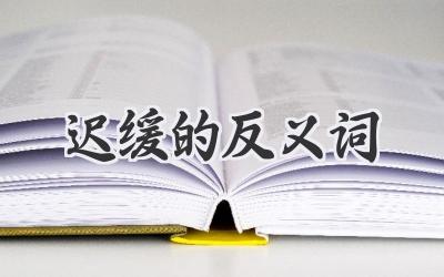 迟缓的反义词