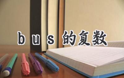 bus的复数