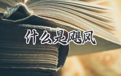什么是飓风