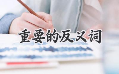 重要的反义词