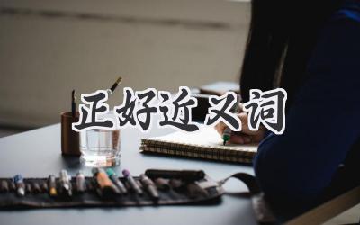 正好近义词