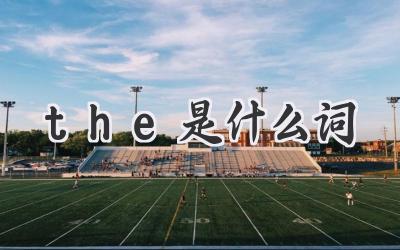 the是什么词