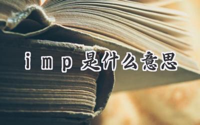 imp是什么意思