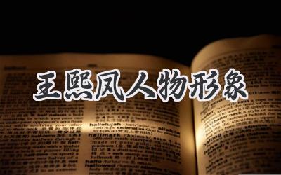 王熙凤人物形象