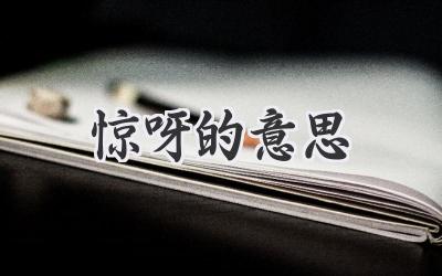 惊呀的意思