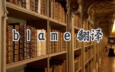 blame翻译