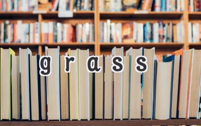 grass