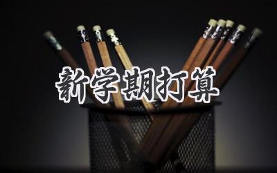 新学期打算