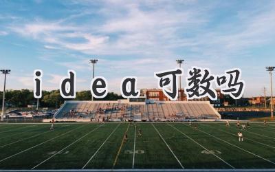 idea可数吗