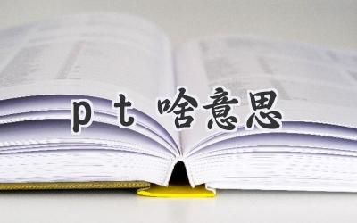 pt啥意思