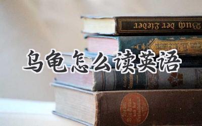 乌龟怎么读英语