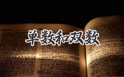 单数和双数