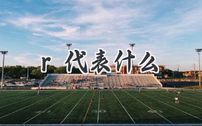 r代表什么