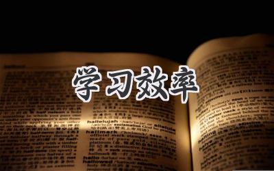 学习效率