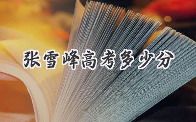 张雪峰高考多少分