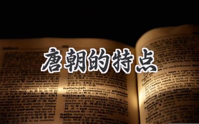 唐朝的特点