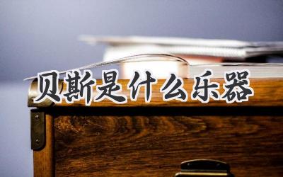 贝斯是什么乐器