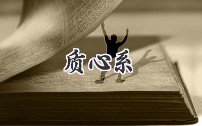 质心系