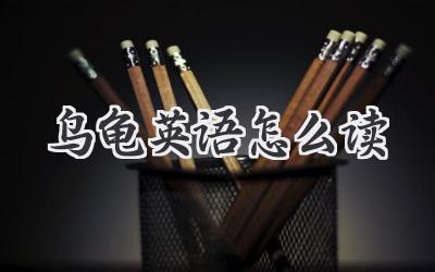 乌龟英语怎么读