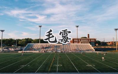 毛霉