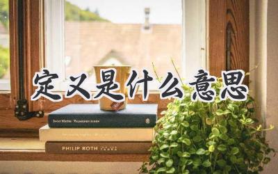 定义是什么意思