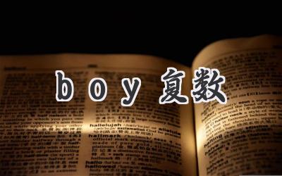 boy复数