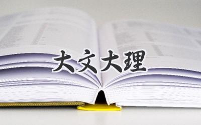 大文大理