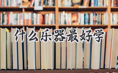什么乐器最好学
