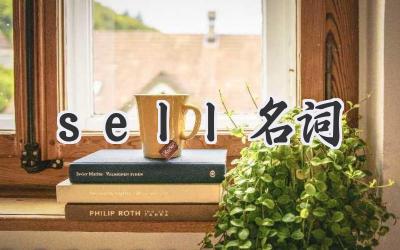 sell名词