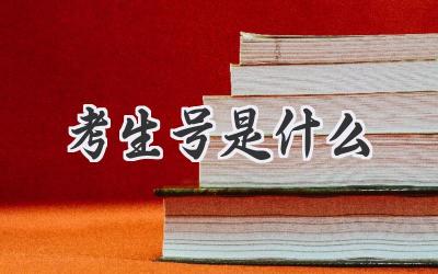 考生号是什么