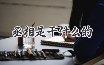 丞相是干什么的