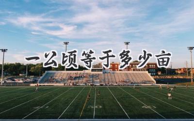 一公顷等于多少亩