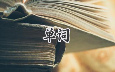 单词