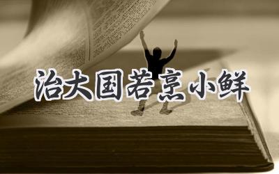 治大国若烹小鲜
