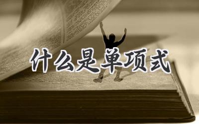 什么是单项式