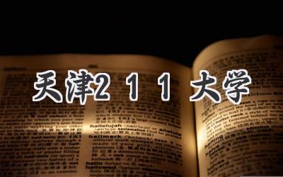 天津211大学