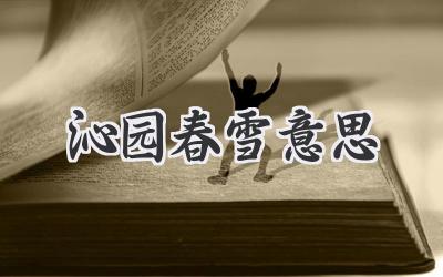 沁园春雪意思