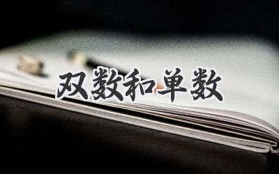 双数和单数