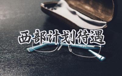 西部计划待遇