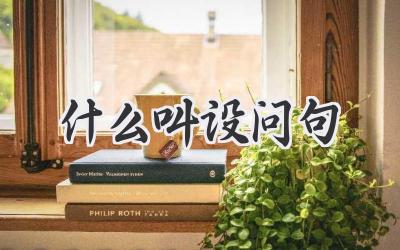 什么叫设问句