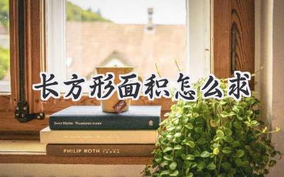 长方形面积怎么求