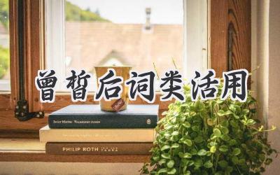 曾皙后词类活用